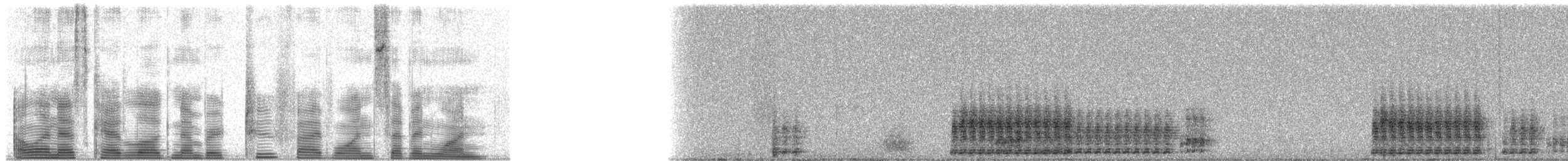 Canyon Tree Frog - ML25171