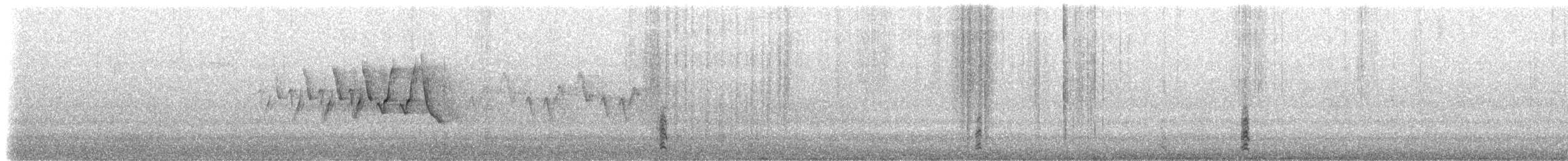 gråskrike (canadensis gr.) - ML251727351