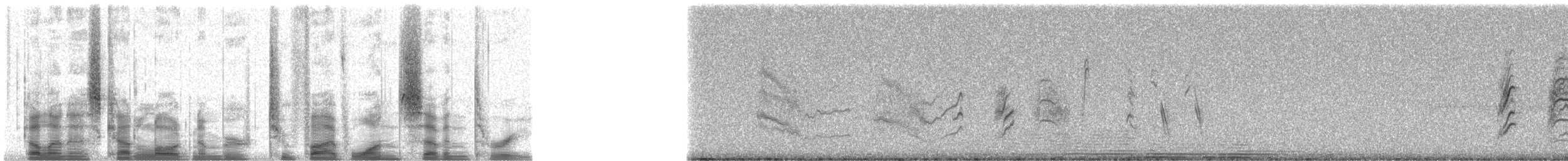 Blue-gray Gnatcatcher - ML25173