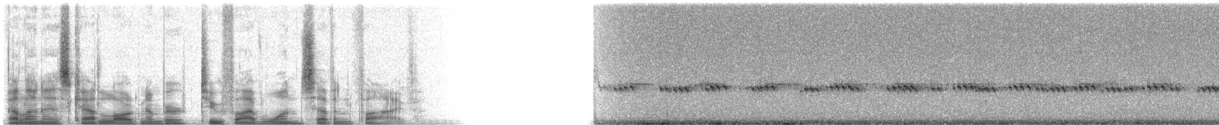 Whiskered Screech-Owl - ML25175