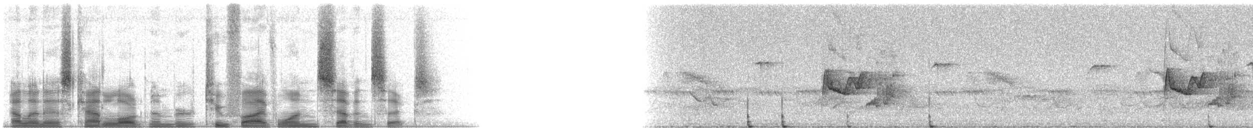 Sulphur-bellied Flycatcher - ML25176