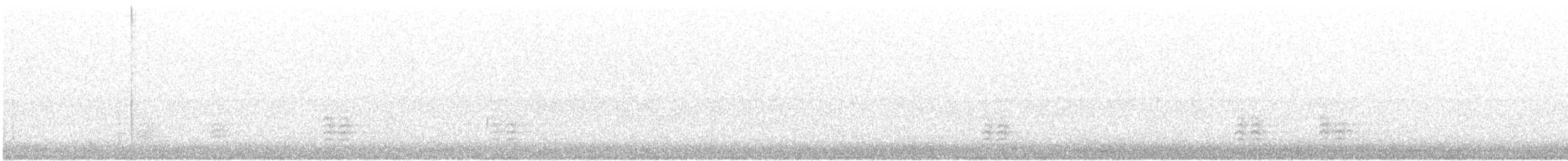 Weißbrustkleiber - ML251776241