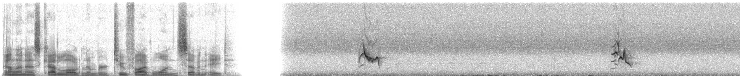 Plumbeous Vireo (Plumbeous) - ML25178