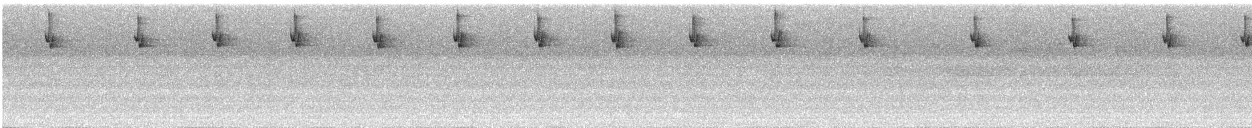 Клиноклювый колибри - ML251811791