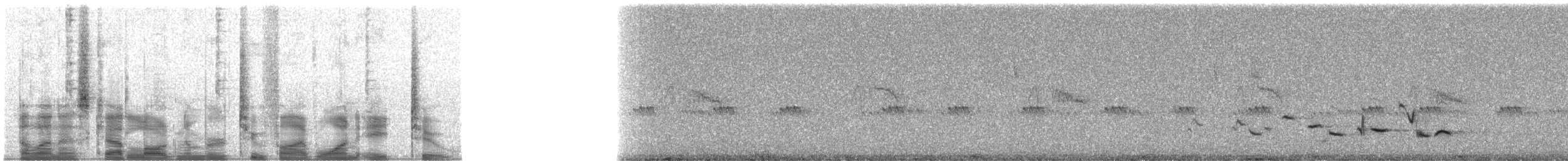 Scott's Oriole - ML25182