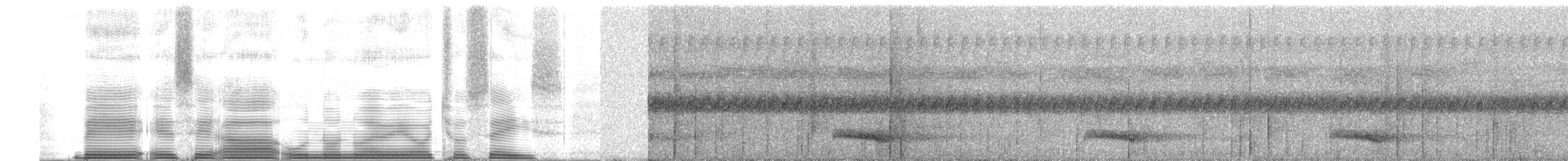 Toucan vitellin (culminatus/pintoi) - ML251821