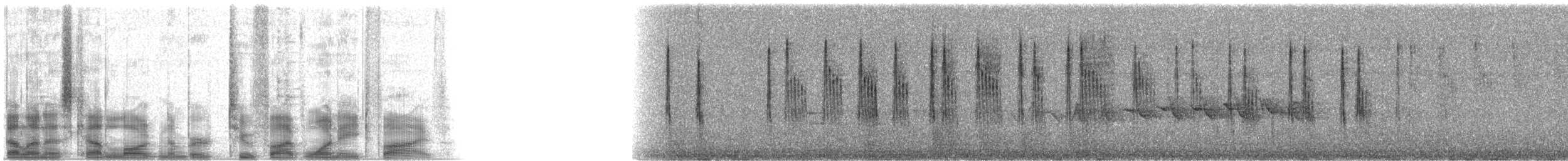 Black-throated Gray Warbler - ML25185