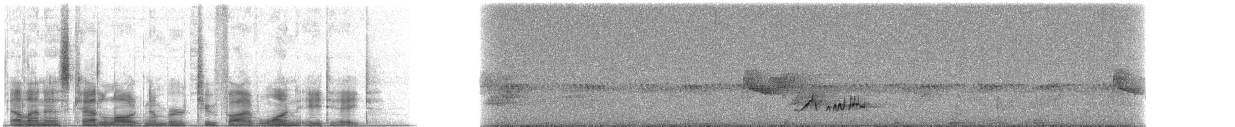 Brown-crested Flycatcher (Arizona) - ML25188