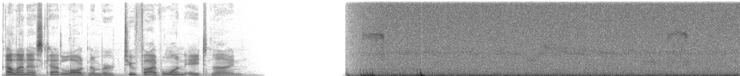 Гіла чорновола [група formicivorus] - ML25189