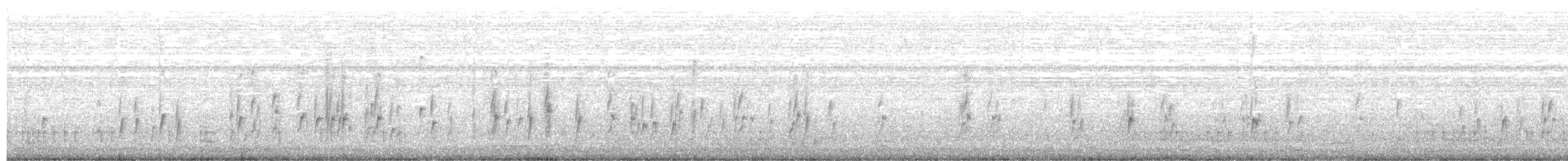 kulík patagonský - ML251907241