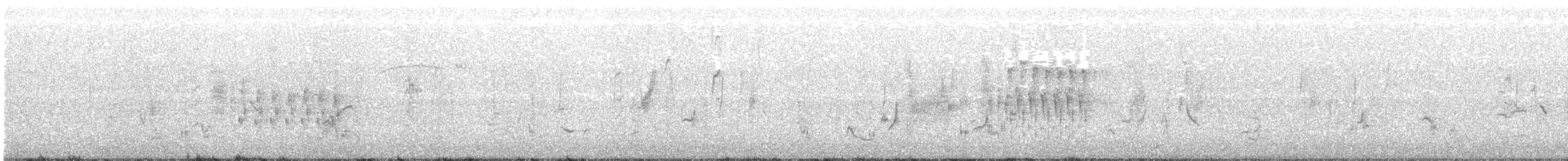 Troglodyte des marais - ML251933761