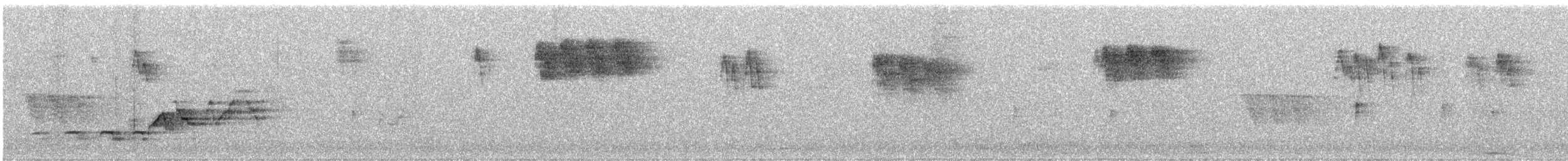 Дрізд-короткодзьоб Cвенсона - ML251947441