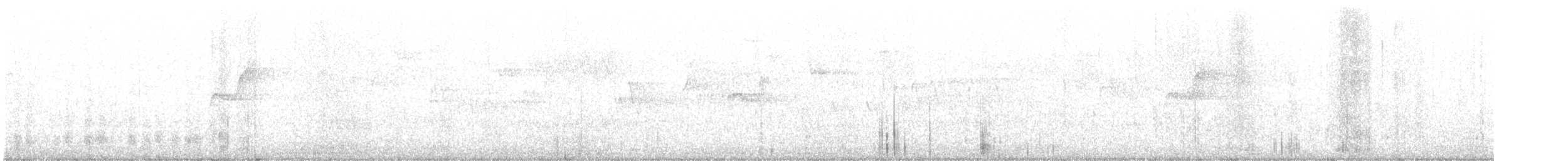 Troglodyte de Baird - ML251950431