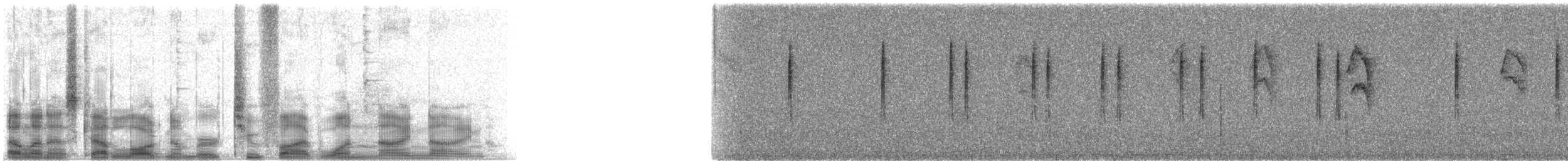 Black-throated Gray Warbler - ML25199