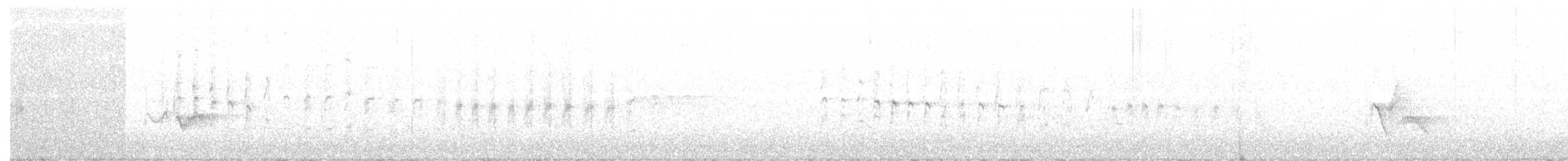 Weißbrustsegler - ML251999131