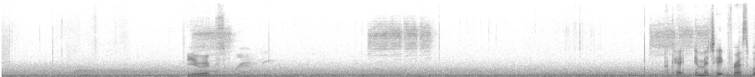 Troglodyte de Bewick - ML252004861