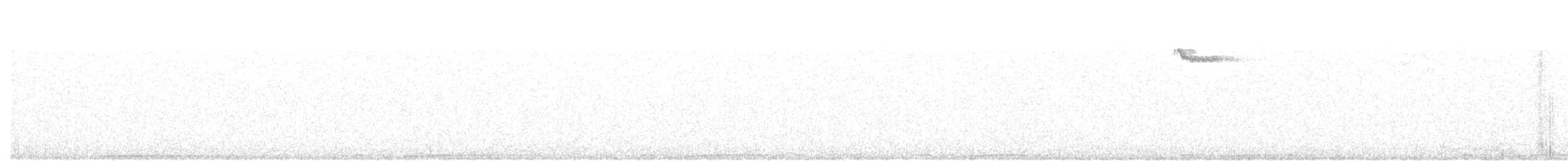 Полосатохвостый голубь - ML252007811