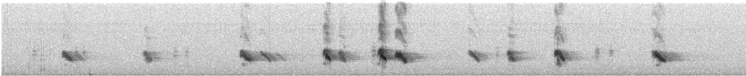 סנונית סגולה - ML252021061