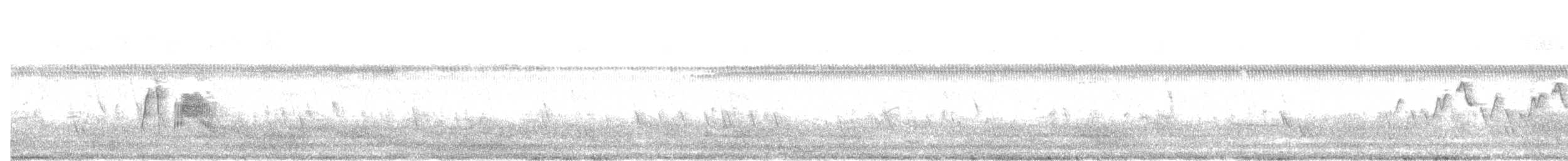 tyranovec vrbový - ML252104381