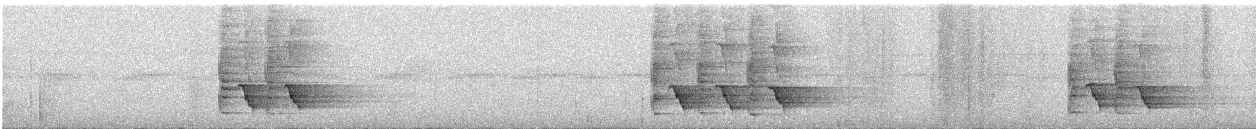 Сверкающий дронго (carbonarius) - ML252110531