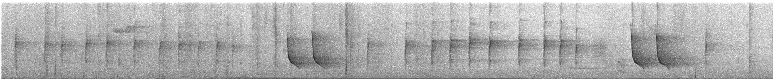 Tropfenfächerschwanz - ML252110611