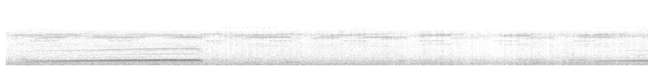 Mérulaxe à poitrine blanche - ML252115411