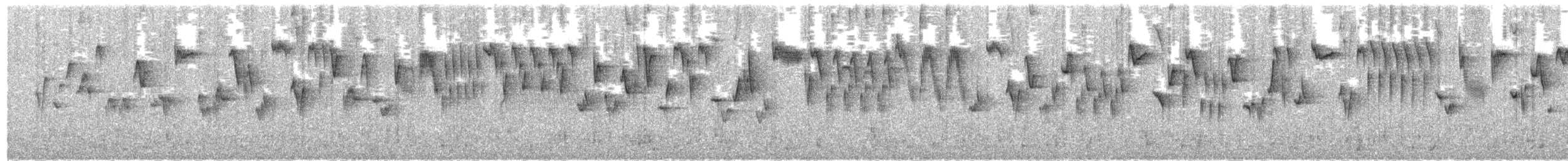 Troglodyte de Baird - ML25211891