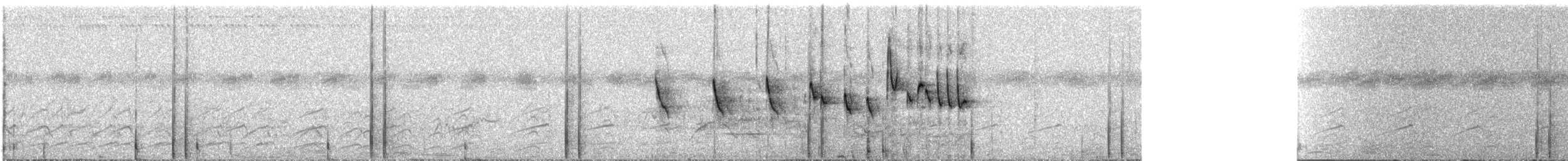 Marmornachtschwalbe - ML252126991