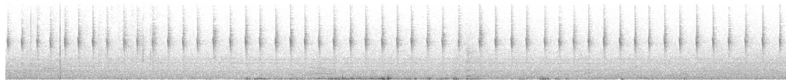 White-throated Hummingbird - ML252136781