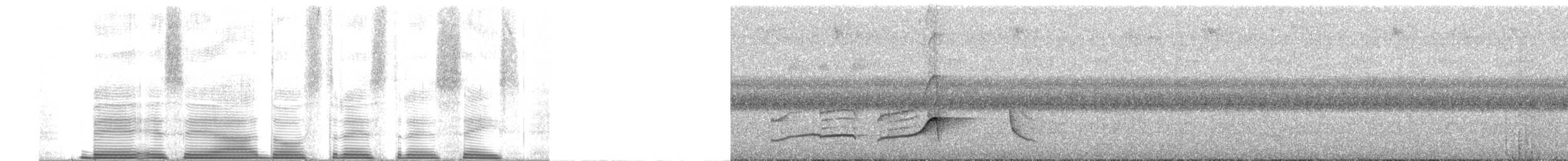 Светлобрюхий тиранн-плакса - ML252171