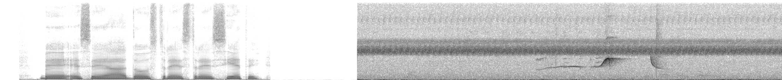 Светлобрюхий тиранн-плакса - ML252172