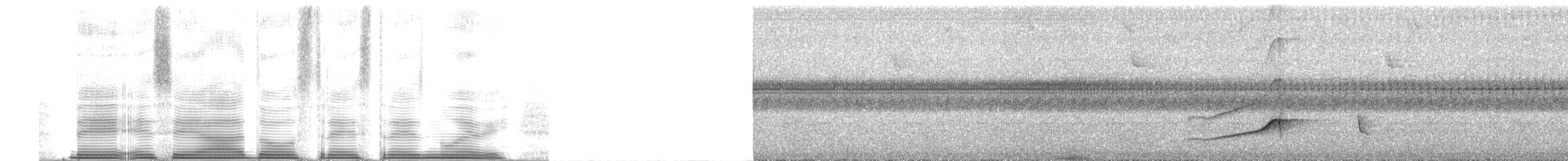 Светлобрюхий тиранн-плакса - ML252174