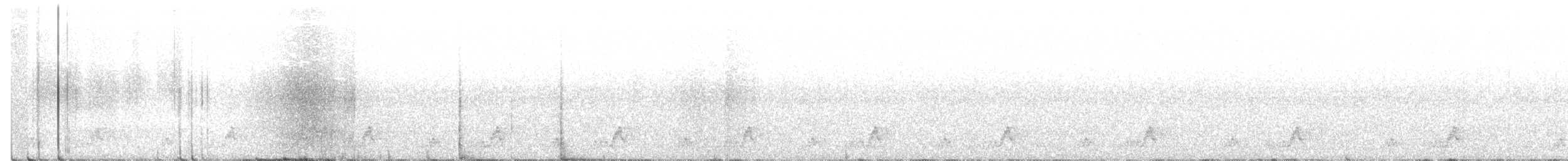 Mexikonachtschwalbe - ML252176231