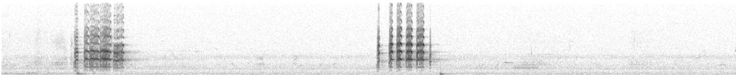 ズグロトサカゲリ（novaehollandiae） - ML252177091