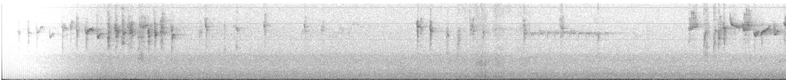 Gray Fantail (alisteri) - ML252191701