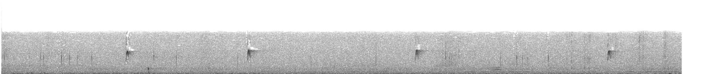 tyranovec olšový - ML252225011