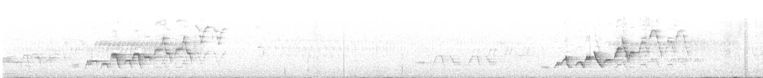 Zwergmusendrossel - ML252438131
