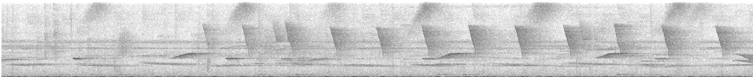 Weißbart-Schattenkolibri - ML252460881