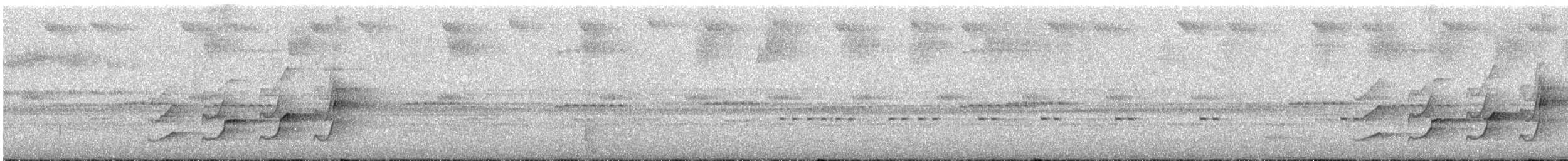 Серогрудый тенелюб - ML252474461