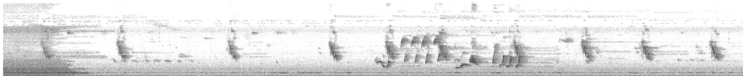 Curve-billed Thrasher - ML252481841