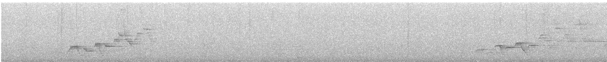 Дрізд-короткодзьоб Cвенсона - ML252516881