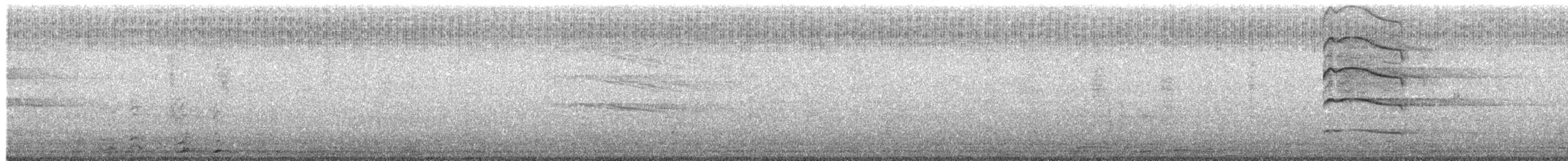 kalous ušatý - ML252551721