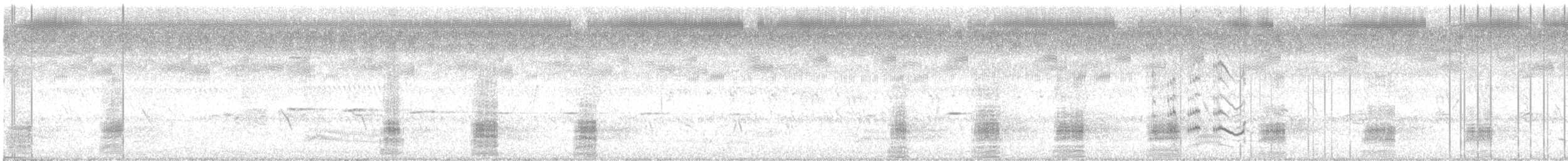 Пестроносая кряква - ML252555001