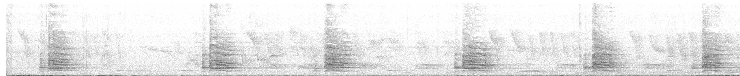 Gallo bankiva - ML252566561