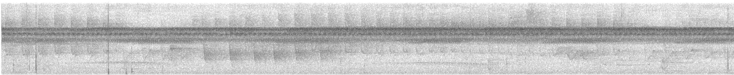 Краснохвостый долотоклюв - ML252594901