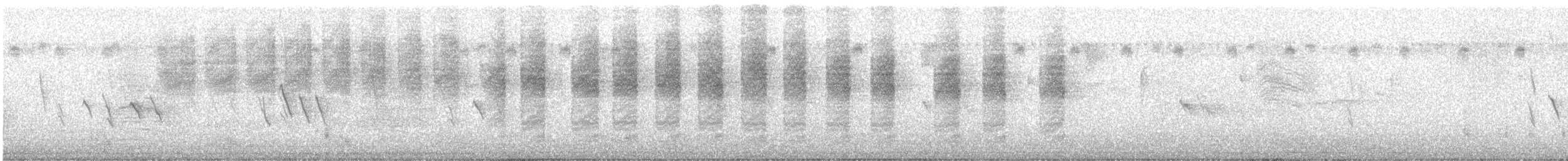 チャバラマユミソサザイ - ML252602331