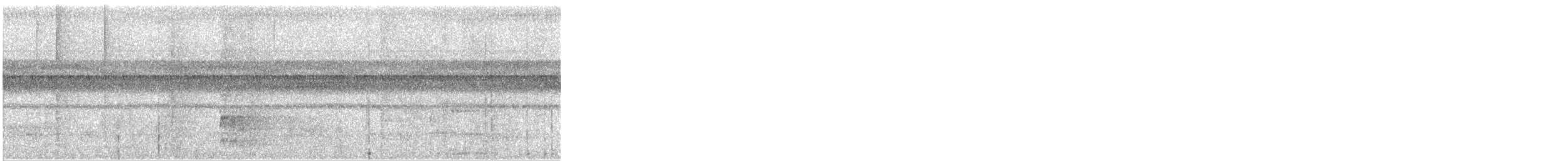 Kara Karınlı Sincap Guguğu - ML252605791