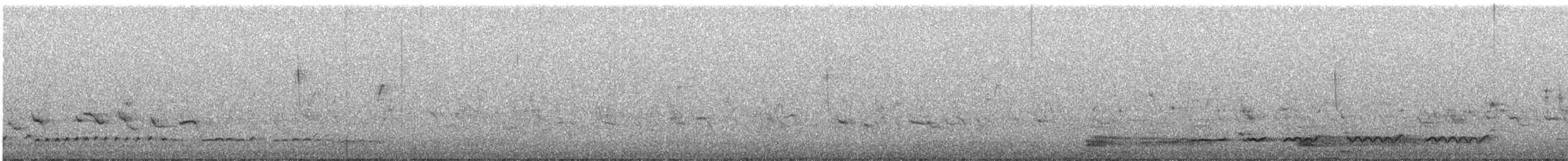 Eurasian Curlew - ML252628391
