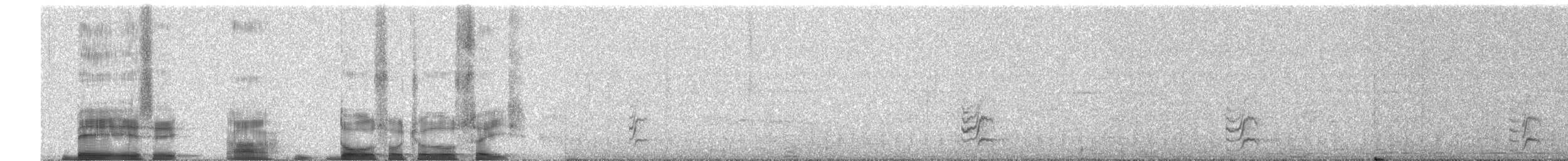 Northern/Southern White-fringed Antwren - ML252661