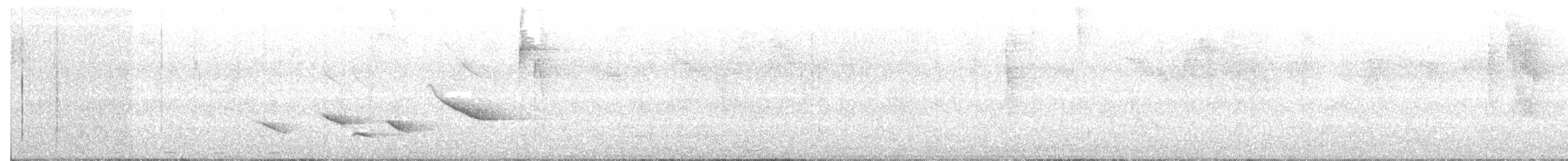 Зернолуск антильський - ML252667841